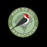 Aves do Sul - Birdwatching