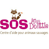 sosmissdolittle.com