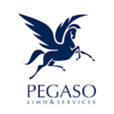 Pegaso Limo&Services