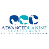Advanced Canine Development Reviews