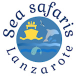 seasafarislanzarote.com