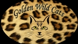 www.goldenwildcats.ch
