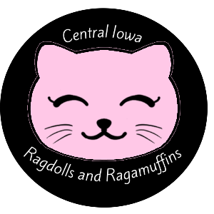 Central Iowa Ragdolls and Ragamuffins LLC