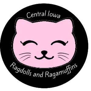 Central Iowa Ragdolls and Ragamuffins LLC