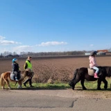 De Ponyfarm Ponyactiviteiten & Dagbesteding