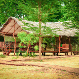 Camp Leopard - Yala Safari Glamping