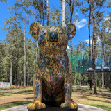 WildNets Adventure Park Cowarra