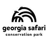 georgiasafari.com
