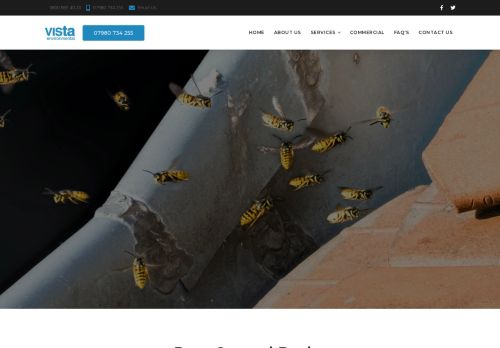 VISTA ENVIRONMENTAL SOLUTIONS