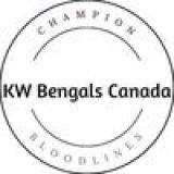 KW Bengals