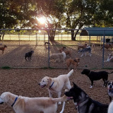 JD Kennels Camp David for Dogs and Cats