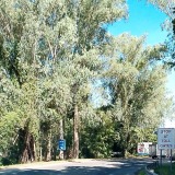 dennish66.sg-host.com