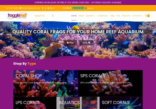 www.fragglereef.co.uk