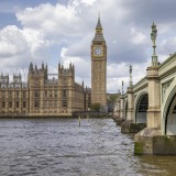 dev-wizard-techoctopus.pantheonsite.io