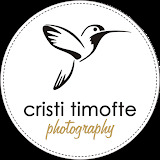 www.cristitimofte.ro