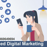 Enlightened Digital Marketing -Website Design,Graphic Design,Software Company .