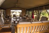 Porini Cheetah Camp, Ol Kinyei Conservancy, Masai Mara Reviews