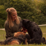Jasmin Oberbauer - Hundetraining To Go Bewertungen