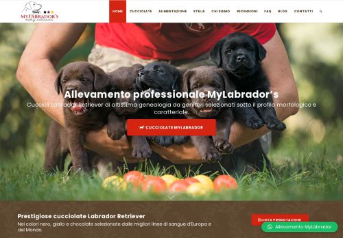 www.mylabrador.it