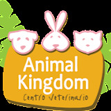 topveterinarios.com/cv-animal-kingdom/