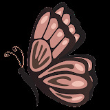 Vanestetica di Voltattorni Vanessa Reviews