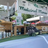 www.medicinalmamascbd.com