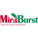 www.miraburst.com