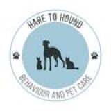 Hare to Hound Behaviour and Pet Care