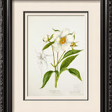 thetotalpicture.com.au