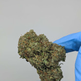 Top Shelf BC - Online Cannabis Dispensary | Medical Marijuana Reviews