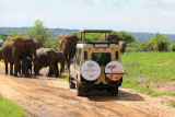 Tanzania Classic Tours