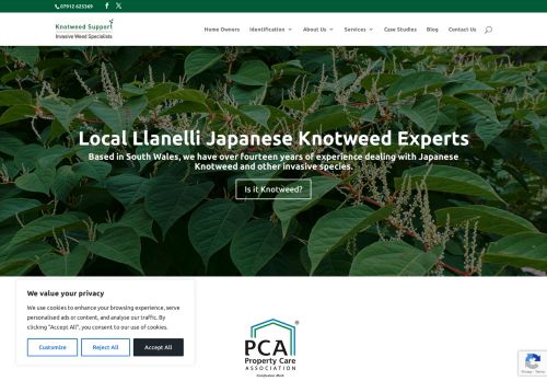 Knotweed Support - Invasive Weed Specialists