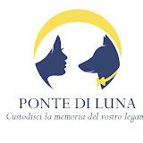 www.pontediluna.it