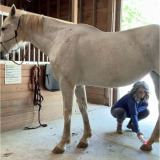 tryonequinebodywork.com