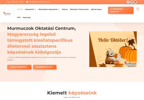 Felnőttképzés24
