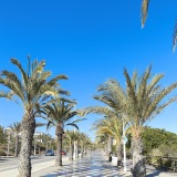 apartamentoarenalesplaya.com