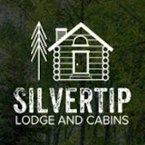 silvertiplodgeandcabins.com