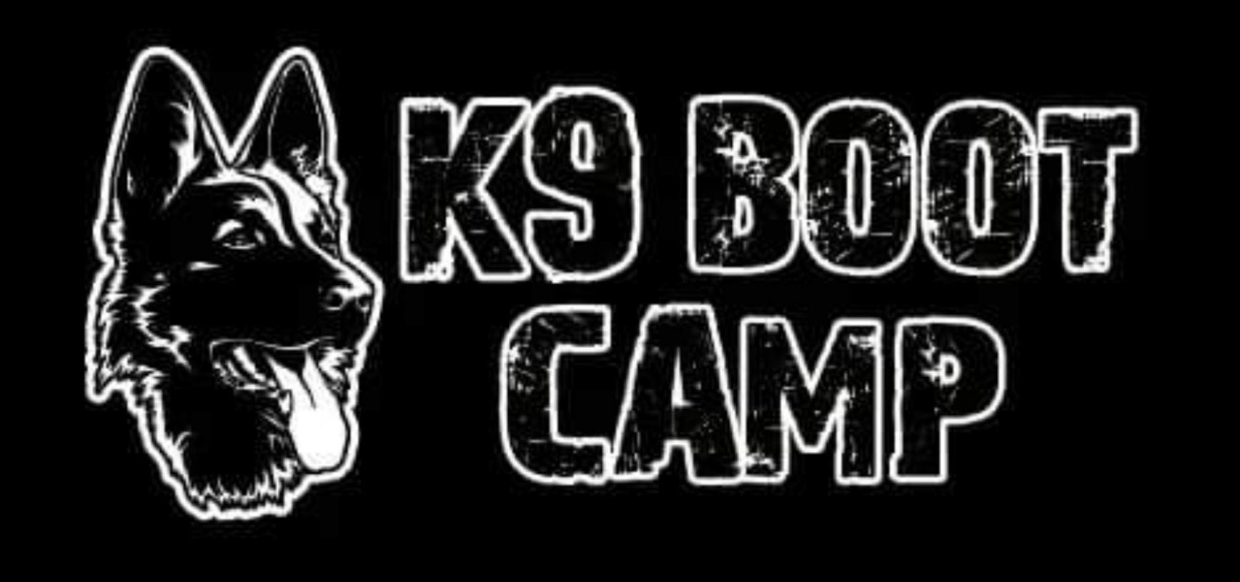 K9 boot camp