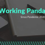 Working Panda