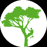 typ-profesional.com.ar