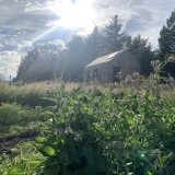 La Cabane aux Herbes