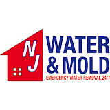 NJ Water and Mold