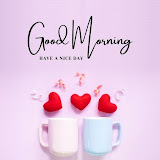 public-noticeads.com