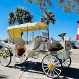 Olde Mount Dora Carriage Company