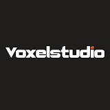 voxelstudio.co.in