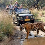 Ranthambore National Park