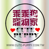 乖乖狗寵物家-www.cute-puppy.tw