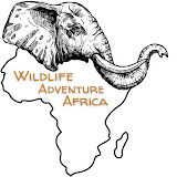 Wildlife Adventure Africa