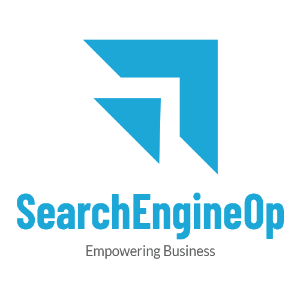 SearchEngineOp Website Design & SEO Reviews