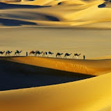 Sahara holidays